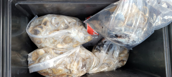 예지퀸호 농어외수질&어초낚시 경기인천권_사진_20251001_12.jpg