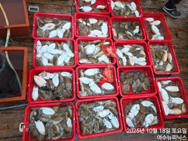10월18일갑오징어 (6).jpg