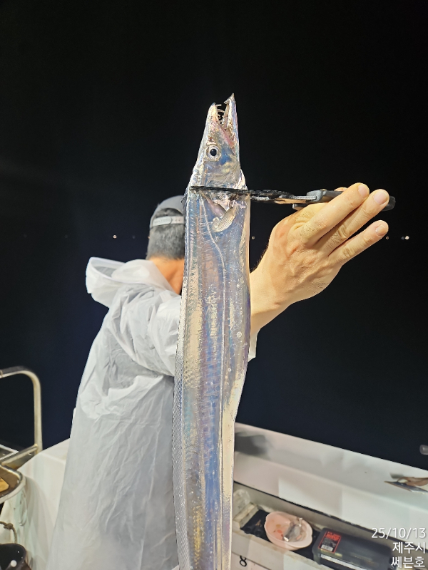 b8fcb771311ecb6f07ab9b2e881464bb.jpg