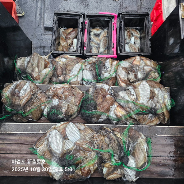 ꫛꫀꪝ✧‧˚ 태안 마검포 新출항호 .• _˚☀₊_사진_20251030_3.jpg