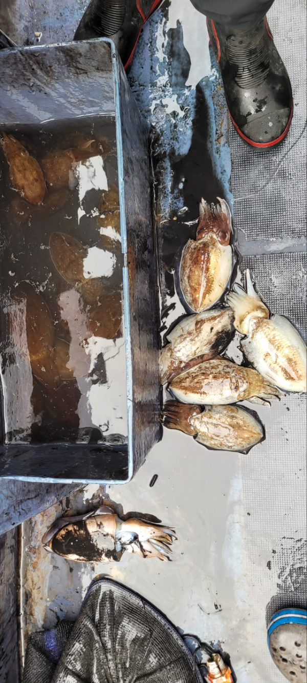 예지퀸호 농어외수질&어초낚시 경기인천권_사진_20251013_7.jpg