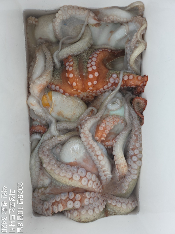 KakaoTalk_20251010_155419284_08.jpg