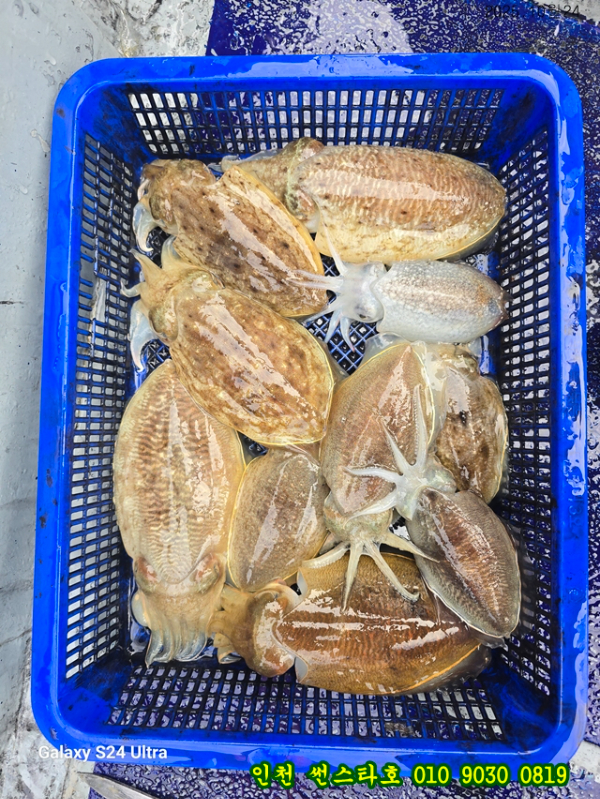 10월24 썬 (14).jpg