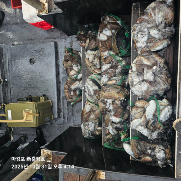 ꫛꫀꪝ✧‧˚ 태안 마검포 新출항호 .• _˚☀₊_사진_20251031_3.jpg