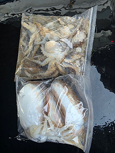 인천쭈꾸미조황 (16).jpg