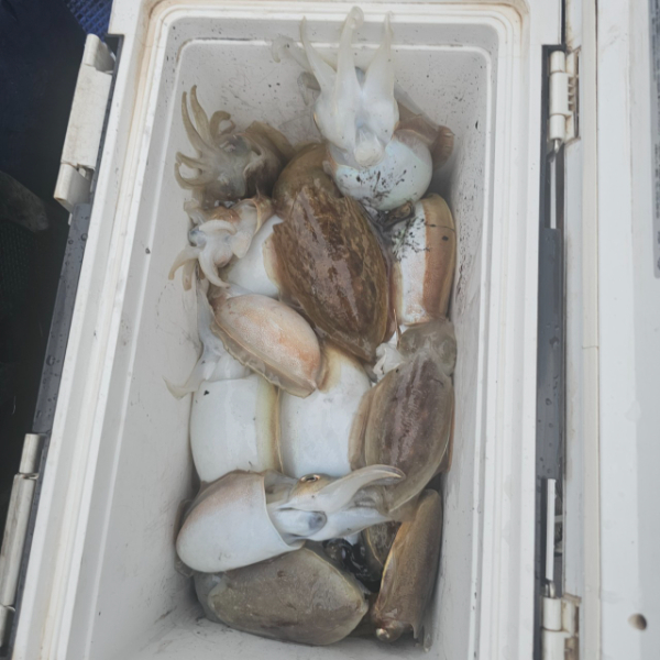 마검포 대한호(VIP)_사진_20251015_5.jpg