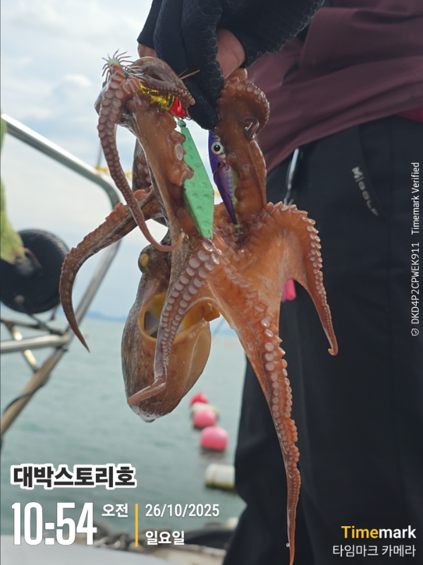 2025-10-26 10.54.58__(대박스토리호).jpg