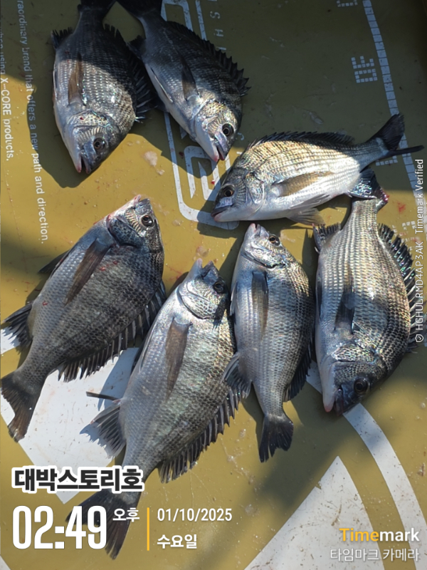 2025-10-01 02.49.41__(대박스토리호).jpg