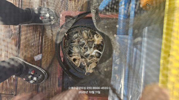 여수금강피싱_사진_20251011_13.jpg