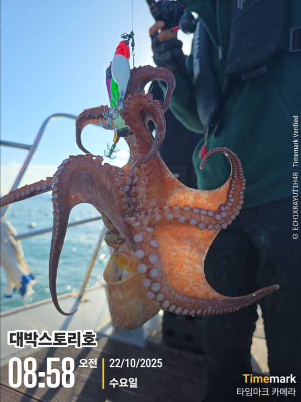 2025-10-22 08.58.25__(대박스토리호).jpg