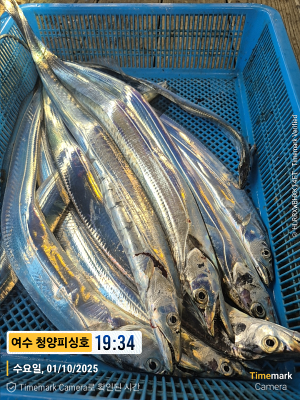 2025-10-01 19.34.03__(제목-여수 청양피싱호).jpg