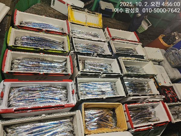 KakaoTalk_20251002_144303273_10.jpg