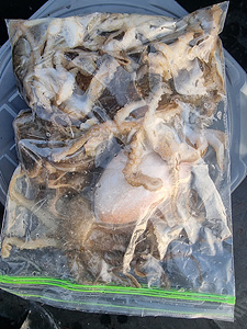 인천쭈꾸미낚시 (9).jpg