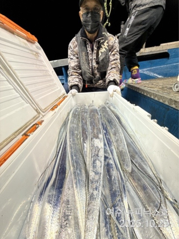 20910월29일갈치 (24).jpg