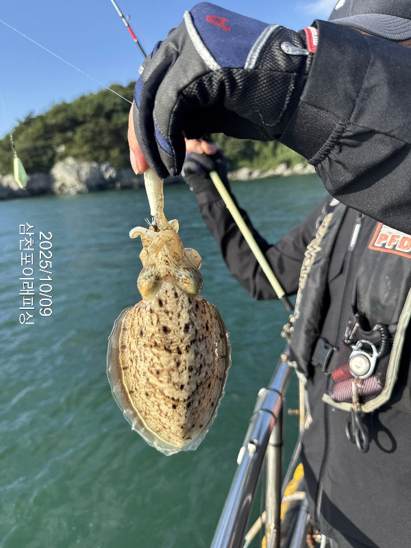 삼천포 이래피싱_01098.jpeg