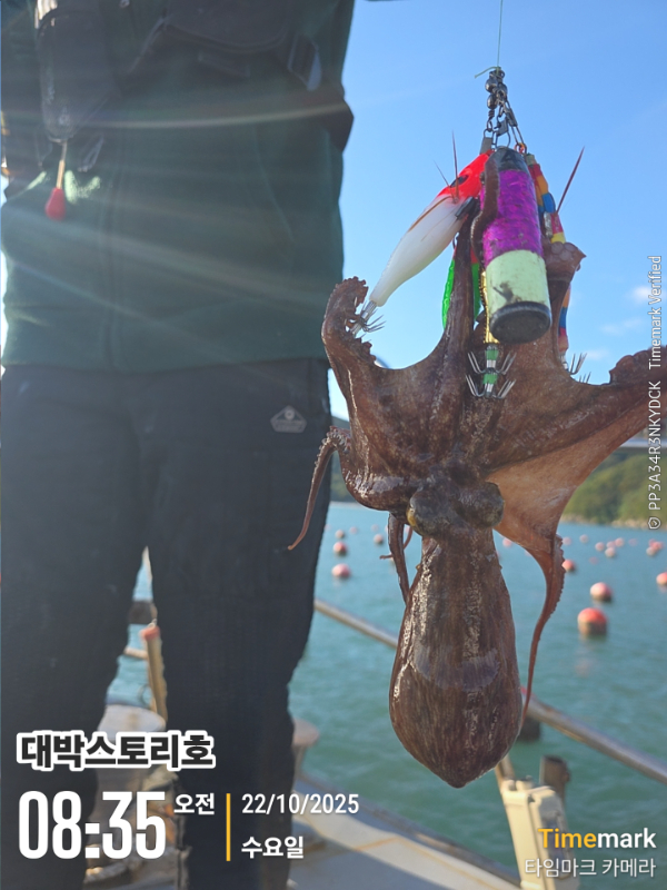 2025-10-22 08.35.41__(대박스토리호).jpg