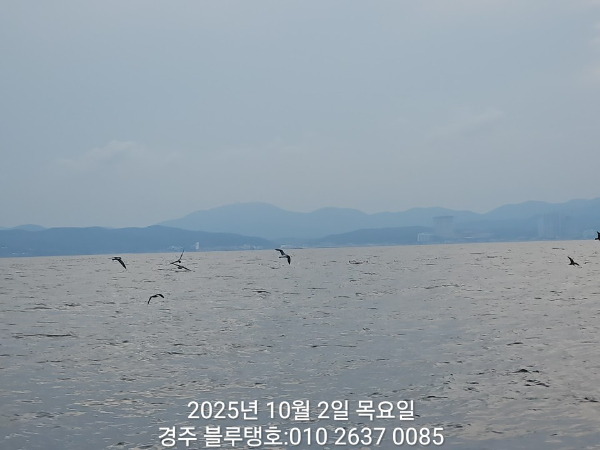 20251002_171837.jpg