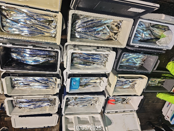04DD3DC2-D220-426E-B598-FCEA85CF9689.jpeg