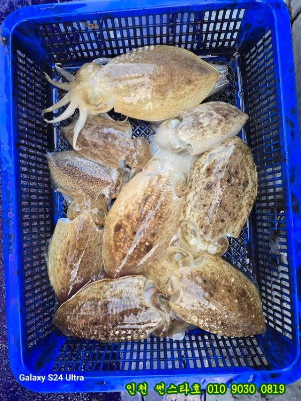 10월24 썬 (19).jpg