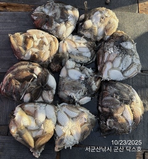 군산 선상낚시, 바다낚시 출조 전문 ☆서군산낚시☆_사진_20251023_10.jpg