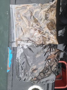 인천쭈꾸미낚시 (7).jpg