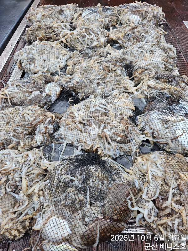 KakaoTalk_20251006_153228704_01 (1).jpg