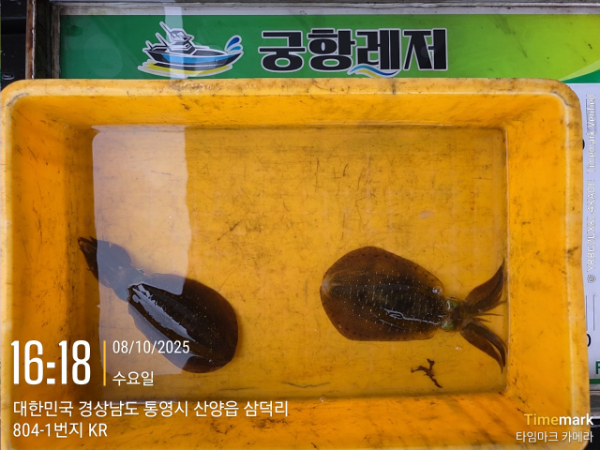 궁항레저_사진_20251008_5.jpg