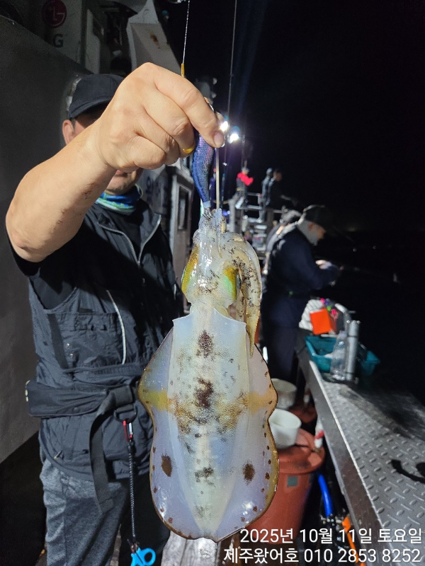 제주왔어호_사진_20251012_23.jpg