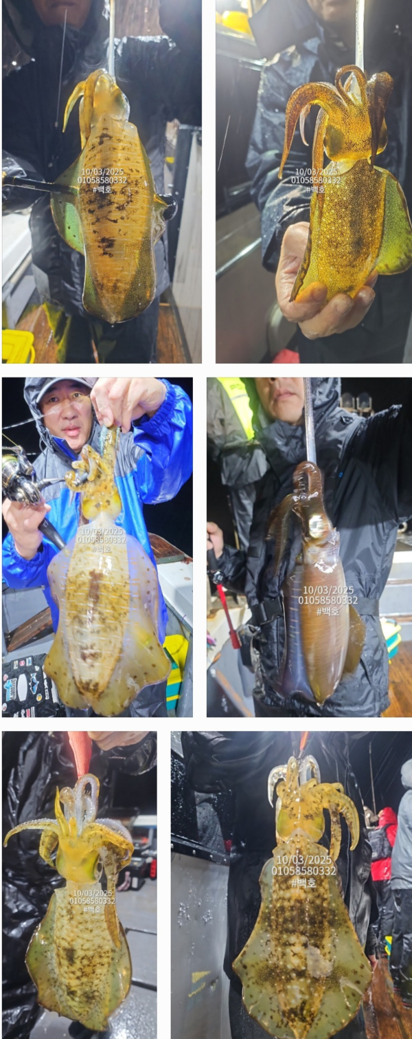 c2d7f1b938bea2f1046fc81d04de1811.jpg