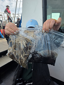 인천쭈꾸미조황 (19).jpg