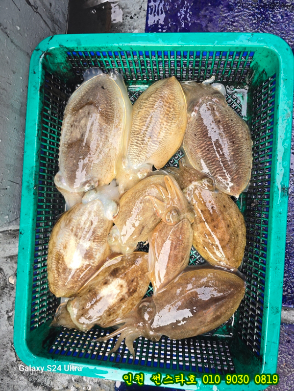 10월24 썬 (11).jpg