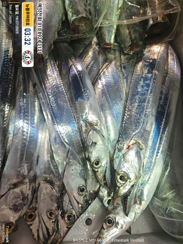 2025-10-27 03.32.48_Japan_(제목-뉴블루마린호)_(예약전화 010 8924 3131).jpg