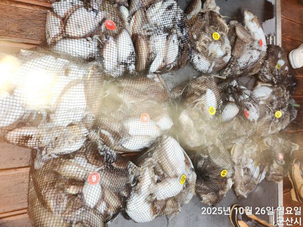 군산 선상낚시, 바다낚시 출조 전문 ☆서군산낚시☆_사진_20251026_2.jpg