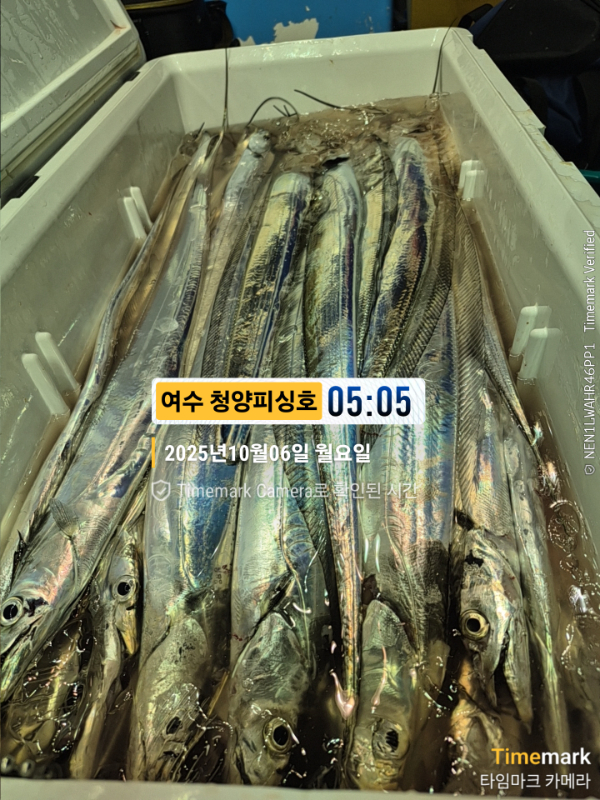 2025-10-06 05.05.34__(제목-여수 청양피싱호).jpg