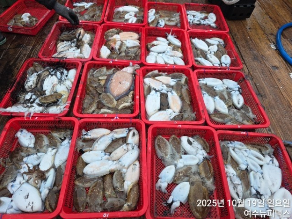 10월19일갑이 (50).jpg