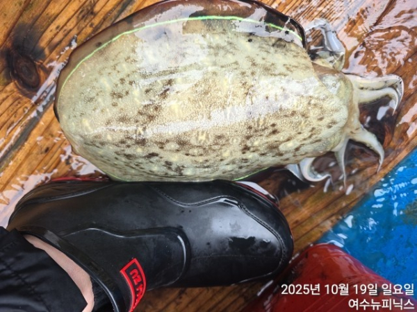 10월19일갑이 (12).jpg