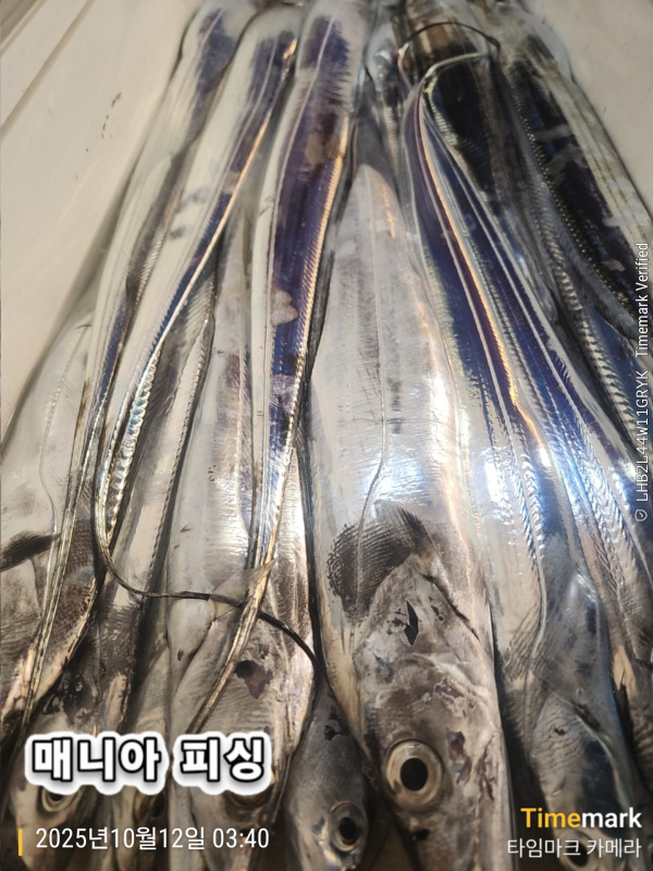 KakaoTalk_20251012_070711324_06.jpg