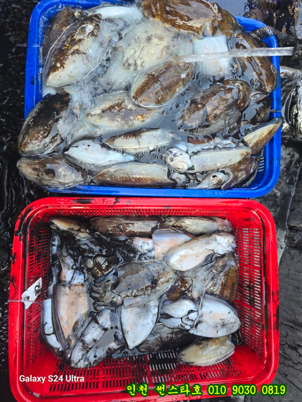 10월29 썬 (10).jpg