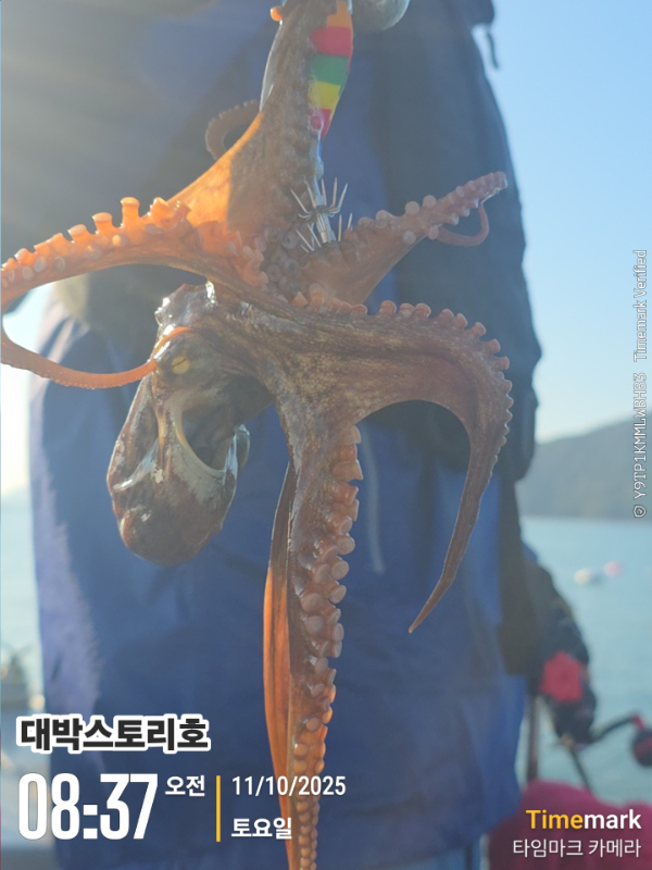 2025-10-11 08.37.18__(대박스토리호).jpg