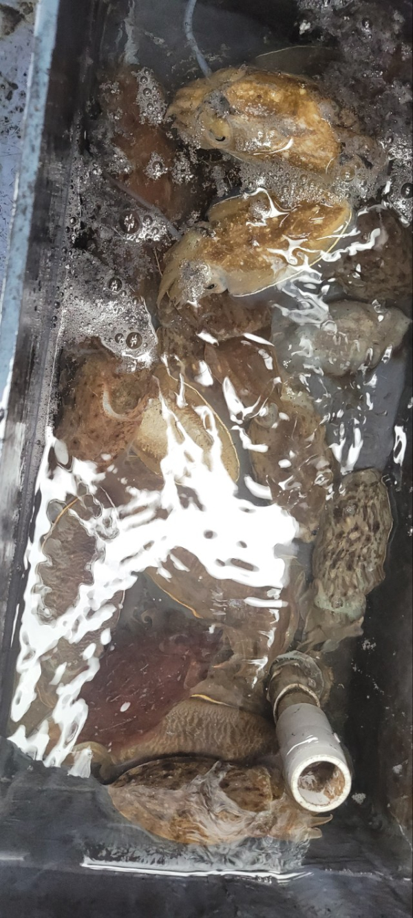 예지퀸호 농어외수질&어초낚시 경기인천권_사진_20251026_12.jpg