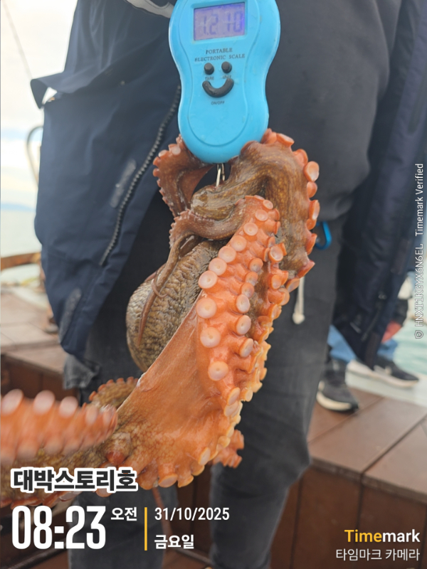 2025-10-31 08.23.24__(대박스토리호).jpg