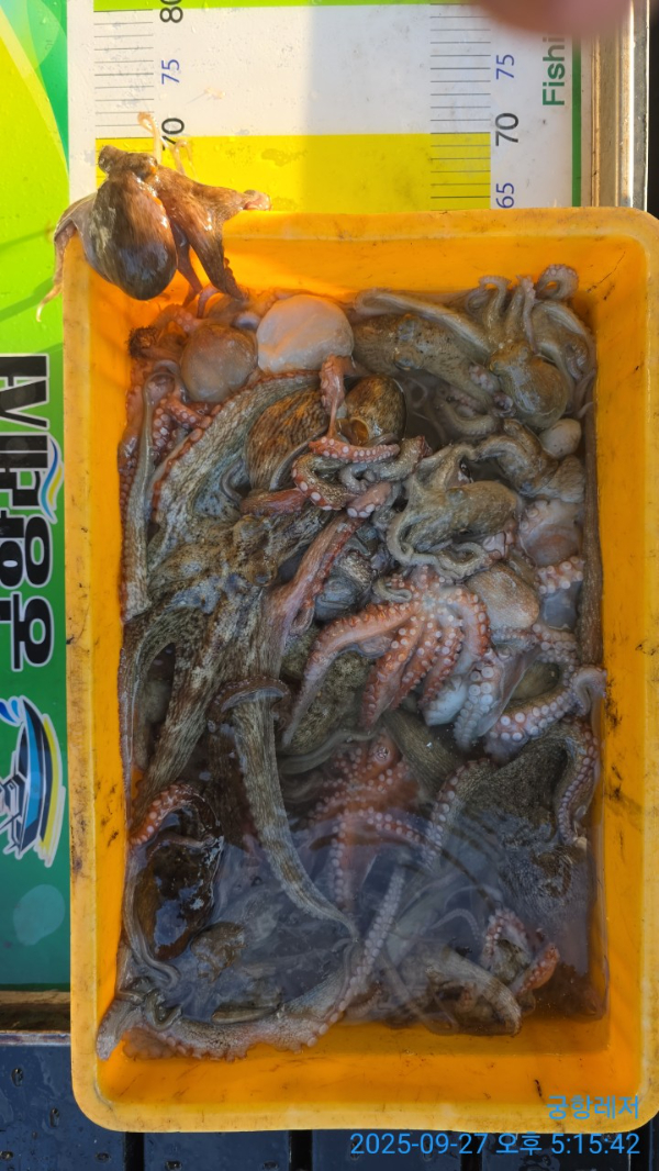 궁항레저_사진_20250927_2.jpg