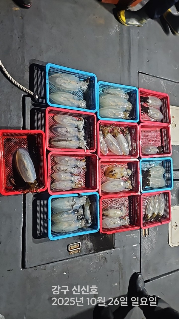 신신낚시 강구점 신신호_사진_20251027_10.jpg