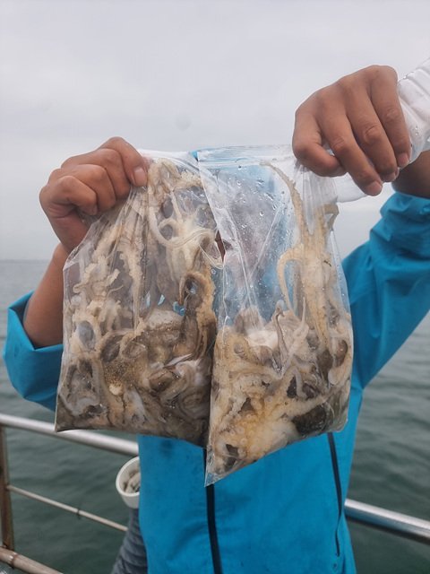 인천쭈꾸미낚시 (6).jpg