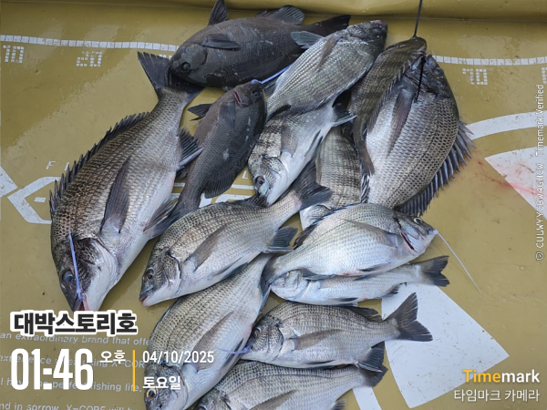 2025-10-04 01.46.06__(대박스토리호).jpg