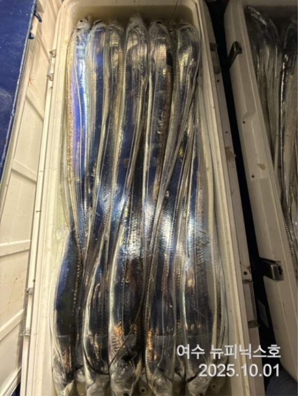 큰KakaoTalk_20251001_071756443_09.jpg