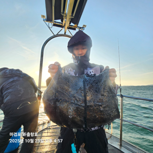 ꫛꫀꪝ✧‧˚ 태안 마검포 新출항호 .• _˚☀₊_사진_20251023_3.jpg