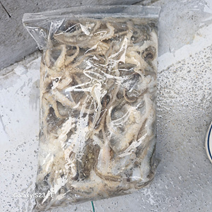 인천쭈꾸미낚시 (14).jpg