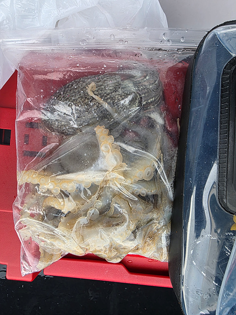 인천쭈꾸미낚시 (18).jpg