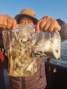 인천쭈꾸미낚시 (24).jpg